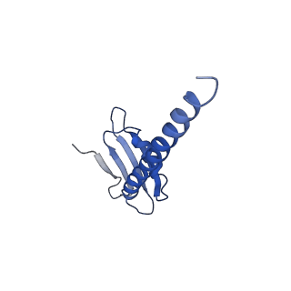 12797_7obb_K_v1-1
Cryo-EM structure of human RNA Polymerase I Open Complex