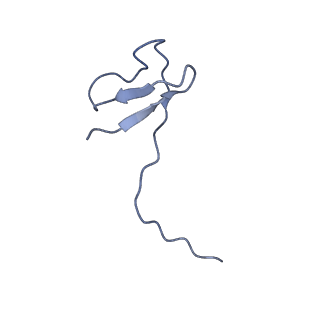12797_7obb_L_v1-1
Cryo-EM structure of human RNA Polymerase I Open Complex