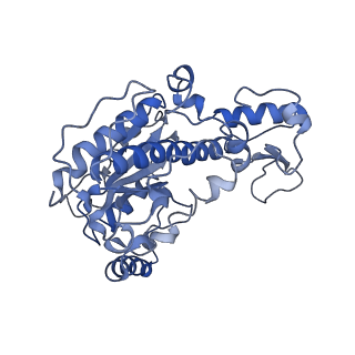 20015_6obj_A_v1-1
Structure of a DNA-bound dimer extracted from filamentous SgrAI endonuclease in its activated form