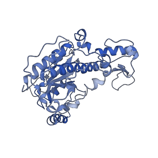 20015_6obj_A_v1-2
Structure of a DNA-bound dimer extracted from filamentous SgrAI endonuclease in its activated form