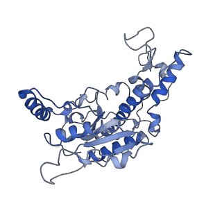 20015_6obj_B_v1-1
Structure of a DNA-bound dimer extracted from filamentous SgrAI endonuclease in its activated form