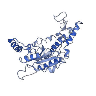 20015_6obj_B_v1-2
Structure of a DNA-bound dimer extracted from filamentous SgrAI endonuclease in its activated form