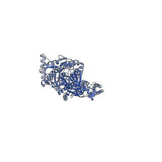 12802_7oca_C_v1-2
Resting state full-length GluA1/A2 heterotertramer in complex with TARP gamma 8 and CNIH2