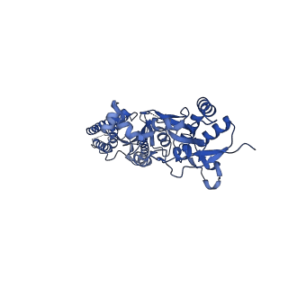 12805_7oce_A_v1-2
Resting state GluA1/A2 AMPA receptor in complex with TARP gamma 8 and CNIH2 (LBD-TMD)