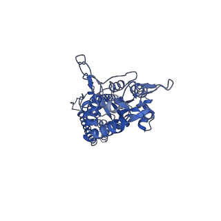 12805_7oce_B_v1-2
Resting state GluA1/A2 AMPA receptor in complex with TARP gamma 8 and CNIH2 (LBD-TMD)