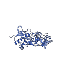 12805_7oce_C_v1-2
Resting state GluA1/A2 AMPA receptor in complex with TARP gamma 8 and CNIH2 (LBD-TMD)