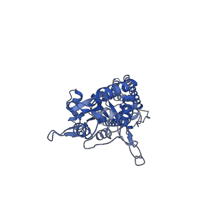12805_7oce_D_v1-2
Resting state GluA1/A2 AMPA receptor in complex with TARP gamma 8 and CNIH2 (LBD-TMD)