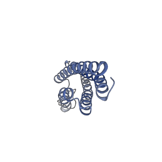 12805_7oce_E_v1-2
Resting state GluA1/A2 AMPA receptor in complex with TARP gamma 8 and CNIH2 (LBD-TMD)