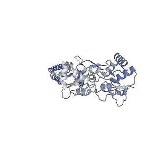 12806_7ocf_A_v1-2
Active state GluA1/A2 AMPA receptor in complex with TARP gamma 8 and CNIH2 (LBD-TMD)
