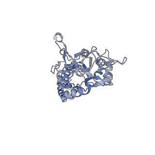 12806_7ocf_B_v1-2
Active state GluA1/A2 AMPA receptor in complex with TARP gamma 8 and CNIH2 (LBD-TMD)