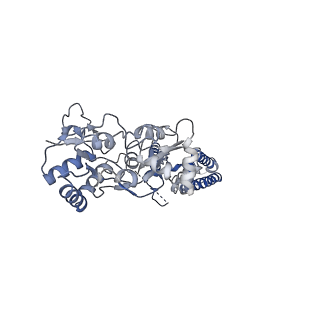 12806_7ocf_C_v1-2
Active state GluA1/A2 AMPA receptor in complex with TARP gamma 8 and CNIH2 (LBD-TMD)