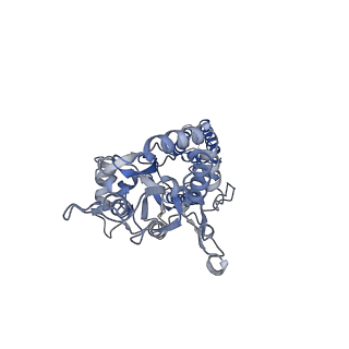 12806_7ocf_D_v1-2
Active state GluA1/A2 AMPA receptor in complex with TARP gamma 8 and CNIH2 (LBD-TMD)