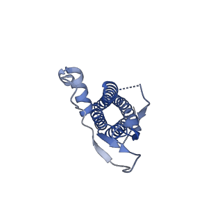 12806_7ocf_J_v1-2
Active state GluA1/A2 AMPA receptor in complex with TARP gamma 8 and CNIH2 (LBD-TMD)