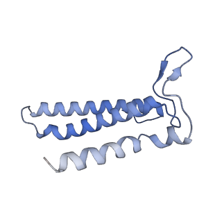 12808_7oci_C_v1-0
Cryo-EM structure of yeast Ost6p containing oligosaccharyltransferase complex