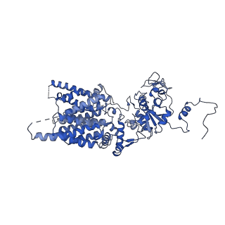 12808_7oci_F_v1-0
Cryo-EM structure of yeast Ost6p containing oligosaccharyltransferase complex