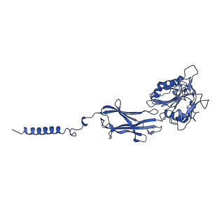 12808_7oci_G_v1-0
Cryo-EM structure of yeast Ost6p containing oligosaccharyltransferase complex