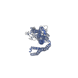 12816_7ocy_A_v1-1
Enterococcus faecalis EfrCD in complex with a nanobody