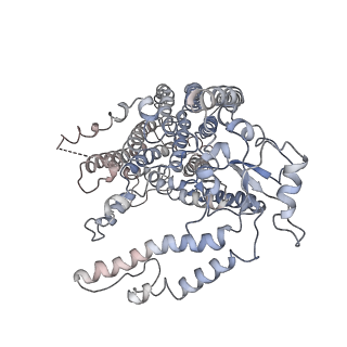 20017_6oce_A_v1-3
Structure of the rice hyperosmolality-gated ion channel OSCA1.2