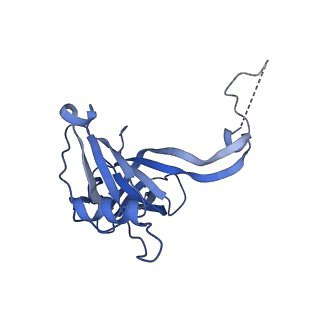 12826_7ode_L_v1-1
E. coli 50S ribosome LiCl core particle
