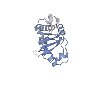 12826_7ode_M_v1-1
E. coli 50S ribosome LiCl core particle