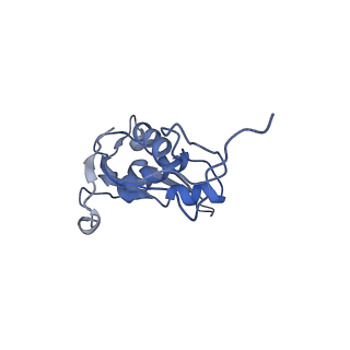 12826_7ode_R_v1-1
E. coli 50S ribosome LiCl core particle