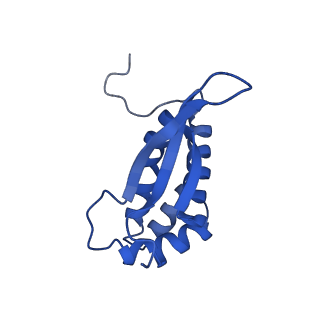 12826_7ode_V_v1-1
E. coli 50S ribosome LiCl core particle
