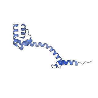 12826_7ode_Y_v1-1
E. coli 50S ribosome LiCl core particle
