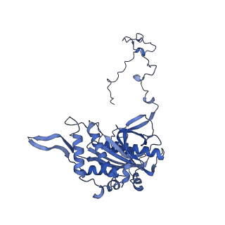 12845_7odr_5_v1-2
State A of the human mitoribosomal large subunit assembly intermediate