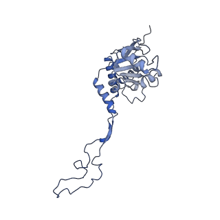 12845_7odr_F_v1-2
State A of the human mitoribosomal large subunit assembly intermediate