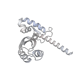 12845_7odr_J_v1-2
State A of the human mitoribosomal large subunit assembly intermediate