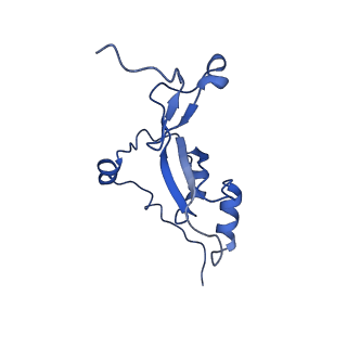 12845_7odr_Z_v1-2
State A of the human mitoribosomal large subunit assembly intermediate