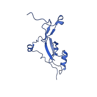 12845_7odr_Z_v2-0
State A of the human mitoribosomal large subunit assembly intermediate