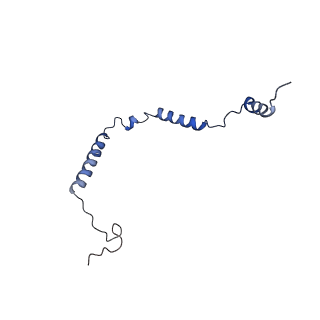 12845_7odr_o_v1-2
State A of the human mitoribosomal large subunit assembly intermediate