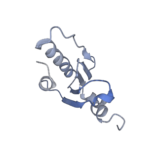 12845_7odr_u_v1-2
State A of the human mitoribosomal large subunit assembly intermediate