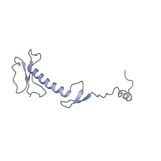 12846_7ods_0_v1-2
State B of the human mitoribosomal large subunit assembly intermediate