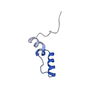 12846_7ods_2_v1-2
State B of the human mitoribosomal large subunit assembly intermediate