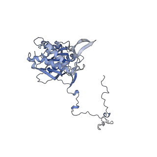 12846_7ods_5_v2-0
State B of the human mitoribosomal large subunit assembly intermediate