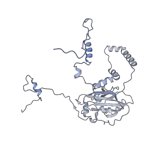 12846_7ods_6_v2-0
State B of the human mitoribosomal large subunit assembly intermediate