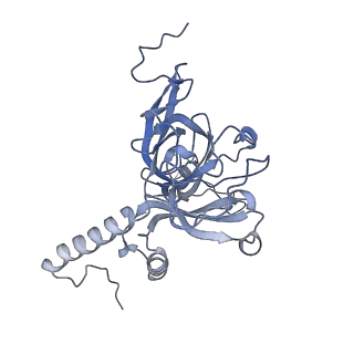 12846_7ods_E_v1-2
State B of the human mitoribosomal large subunit assembly intermediate