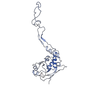 12846_7ods_F_v1-2
State B of the human mitoribosomal large subunit assembly intermediate