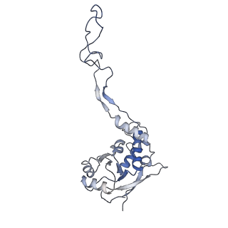 12846_7ods_F_v2-0
State B of the human mitoribosomal large subunit assembly intermediate
