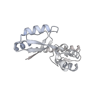 12846_7ods_J_v1-2
State B of the human mitoribosomal large subunit assembly intermediate