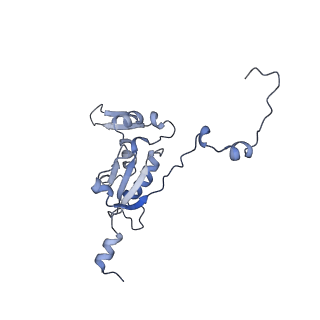 12846_7ods_K_v1-2
State B of the human mitoribosomal large subunit assembly intermediate