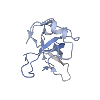 12846_7ods_L_v1-2
State B of the human mitoribosomal large subunit assembly intermediate