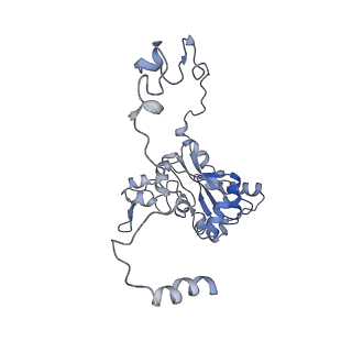 12846_7ods_M_v1-2
State B of the human mitoribosomal large subunit assembly intermediate