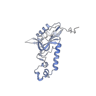 12846_7ods_N_v1-2
State B of the human mitoribosomal large subunit assembly intermediate