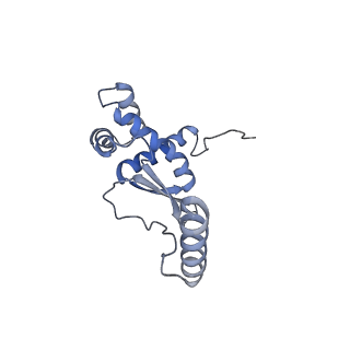 12846_7ods_O_v1-2
State B of the human mitoribosomal large subunit assembly intermediate