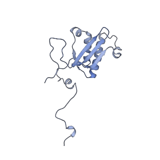 12846_7ods_P_v1-2
State B of the human mitoribosomal large subunit assembly intermediate