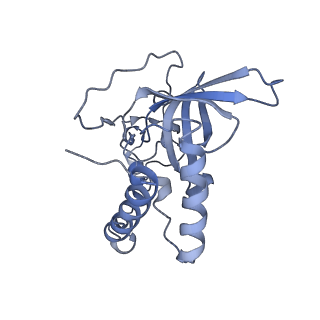 12846_7ods_Q_v1-2
State B of the human mitoribosomal large subunit assembly intermediate