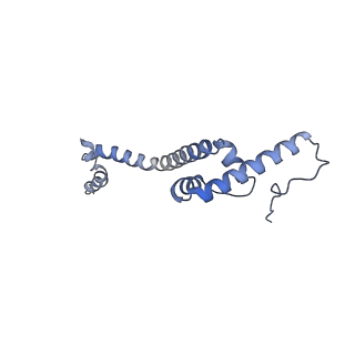12846_7ods_R_v1-2
State B of the human mitoribosomal large subunit assembly intermediate